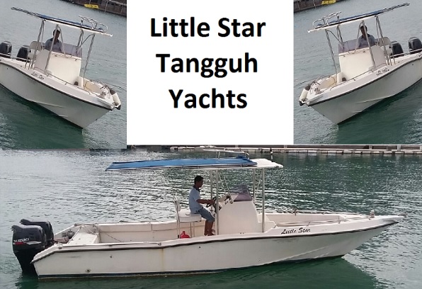 LITTLE STAR.jpg/