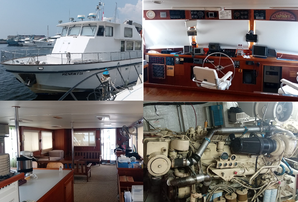 showthumbsdetail.png/